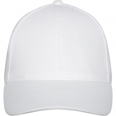 Logotrade Geschäftsgeschenke das Foto: Drake Trucker Kappe mit 6 Segmenten