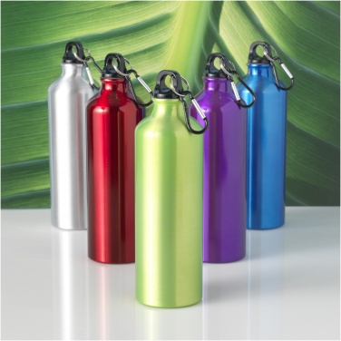 Logotrade advertising product image of: Oregon 770 ml aluminium water bottle with carabiner