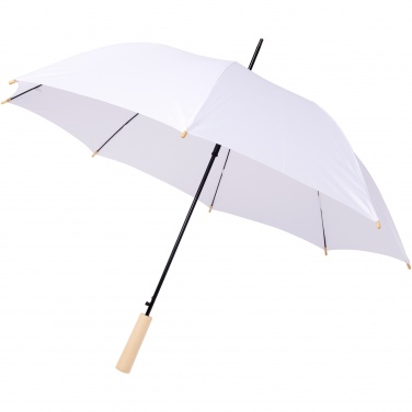 Logotrade promotional giveaway picture of: Alina 23" auto open recycled PET umbrella