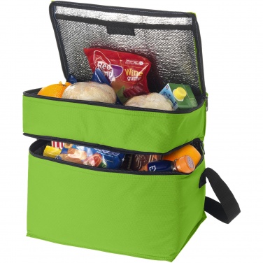Logo trade promotional item photo of: Oslo 2-zippered compartments cooler bag 13L