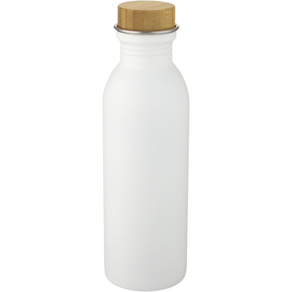 Logotrade promotional merchandise photo of: Kalix 650 ml stainless steel water bottle