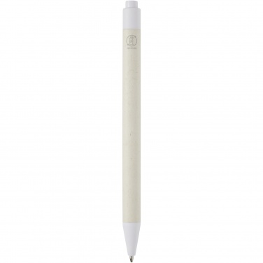 Logotrade promotional gift image of: Dairy Dream recycled milk cartons ballpoint pen