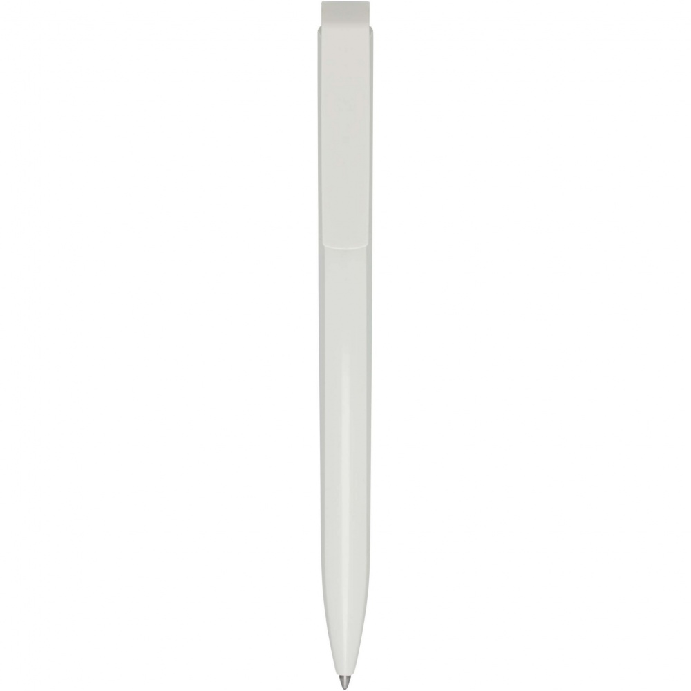 Logotrade corporate gifts photo of: Lucia recycled plastic ballpoint pen