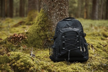 Logotrade promotional giveaway image of: VINGA Parks cooler backpack