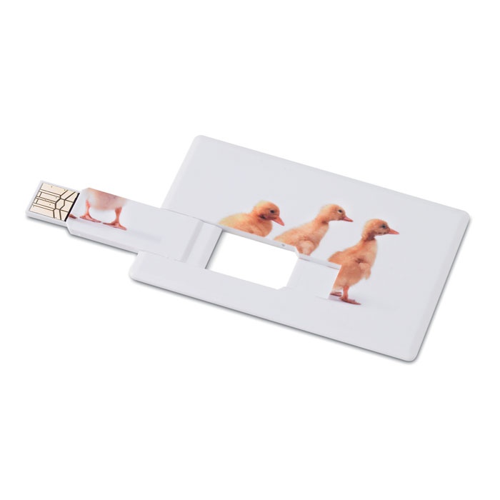 Logo trade business gifts image of: Creditcard. USB flash 16GB