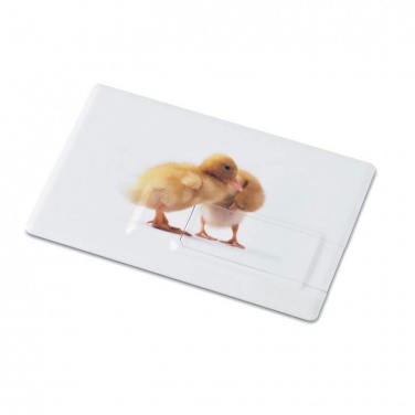 Logo trade promotional giveaway photo of: Creditcard. USB flash 32GB