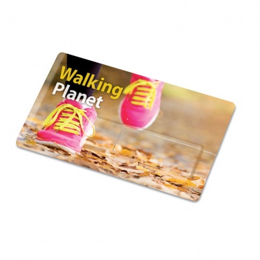 Logo trade promotional merchandise photo of: Creditcard. USB flash 32GB
