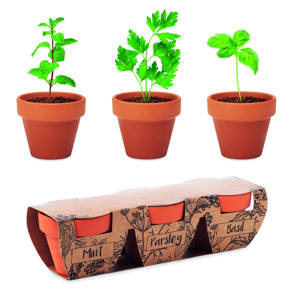 Logo trade business gift photo of: Terracotta 3 herb pot set