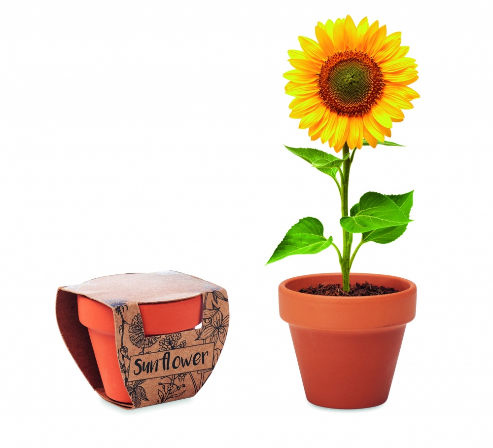 Logotrade promotional product image of: Terracotta pot 'sunflower'