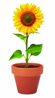 Logo trade corporate gifts image of: Terracotta pot 'sunflower'