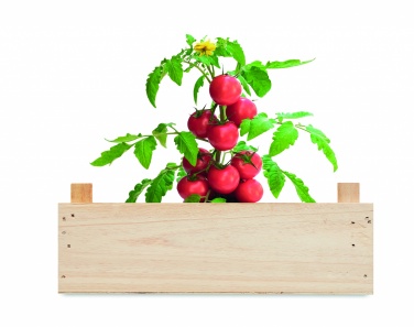 Logo trade advertising product photo of: Tomato kit in wooden crate