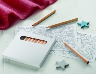 Logotrade promotional product picture of: Drawing adult set