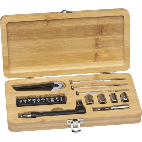 Logotrade promotional giveaways photo of: 22-piece tool set BERINGEN