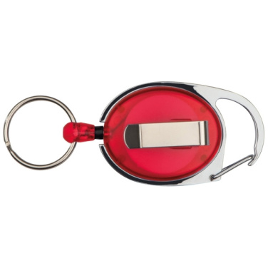 Logo trade promotional giveaway photo of: Ski-Pass with Carabiner Keyring EMPLOYEE