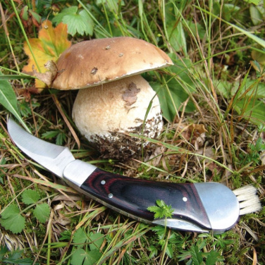 Logotrade corporate gifts photo of: Mushroom knife PILZ Schwarzwolf