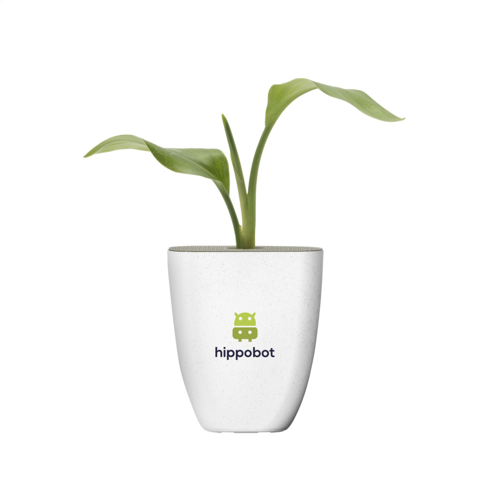 Logotrade corporate gift picture of: Treemore Letterbox Trees Bird of Paradise plant
