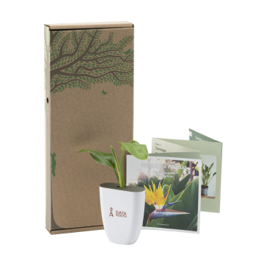 Logo trade corporate gifts image of: Treemore Letterbox Trees Bird of Paradise plant