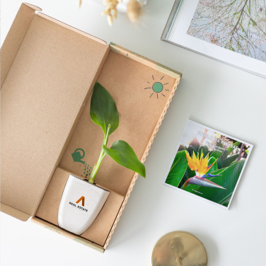 Logotrade promotional product picture of: Treemore Letterbox Trees Bird of Paradise plant