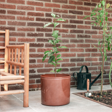 Logo trade promotional gift photo of: Treemore Letterbox Trees Tea plant
