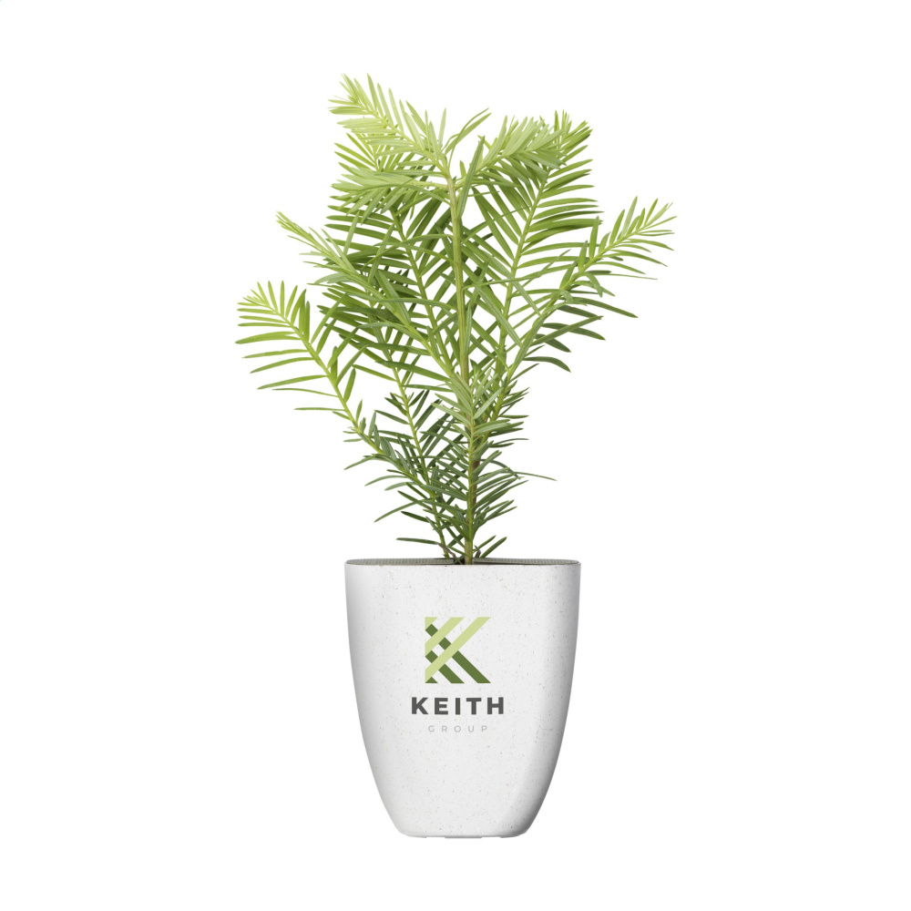 Logo trade corporate gifts picture of: Treemore Letterbox Trees Giant Sequoia