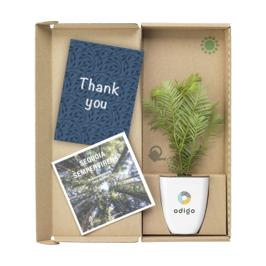 Logotrade promotional products photo of: Treemore Letterbox Trees Giant Sequoia