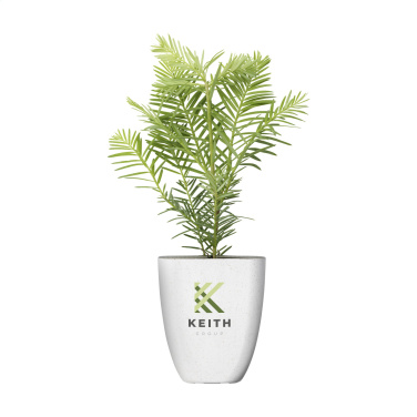 Logotrade promotional item picture of: Treemore Letterbox Trees Giant Sequoia
