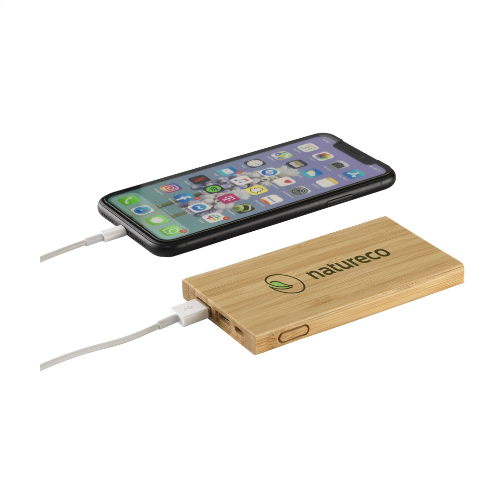Logo trade business gift photo of: Bamboo 4000 Powerbank external charger
