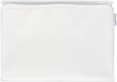 Logotrade promotional giveaway picture of: Spectrum 6-can recycled non-woven cooler bag 4L