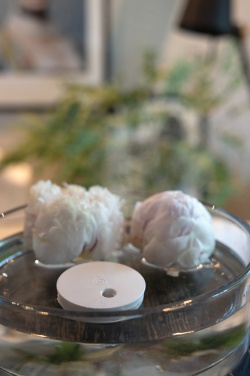 Logo trade promotional merchandise photo of: Breevia RCS rplasic re-chargeable floating humidifier