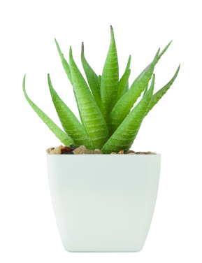 Logotrade advertising product image of: Mini artificial plant