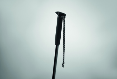 Logo trade promotional product photo of: Telescopic walking pole
