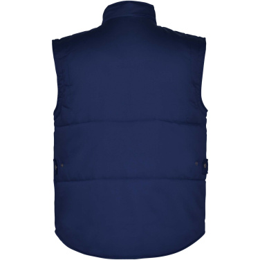 Logotrade promotional items photo of: Amanzor multi-purpose workwear bodywarmer with high neck