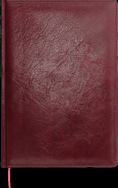 Logo trade reklaamkingi pilt: Kalendermärkmik 645131