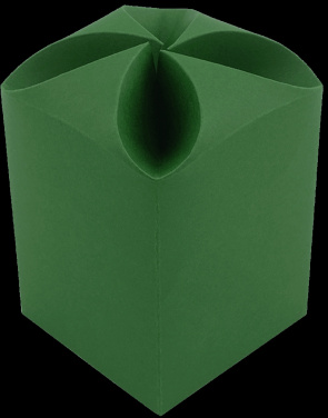 Logotrade reklaamkingitused pilt: Karp (10x7,5x7,5cm) 578037