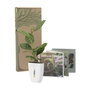 Logo trade reklaamkingid foto: Treemore Letterbox Trees Teetaim