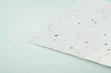 Logotrade ärikingituse foto: ASIDA Seemnepaberist visiitkaart