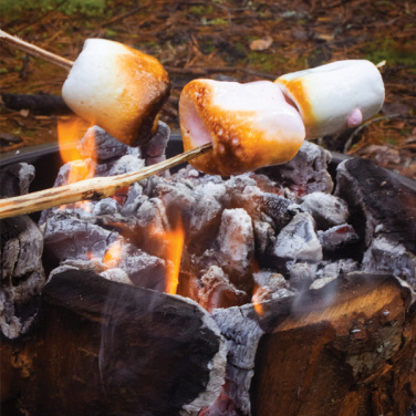 Logotrade reklaamkingid pilt: Eco Grill XL