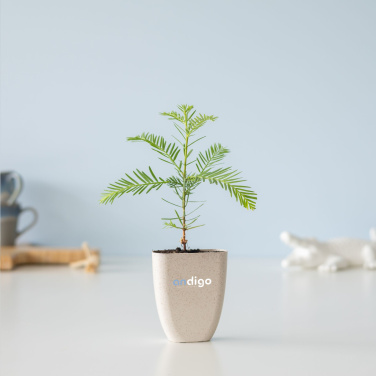 Logotrade mainoslahjat ja liikelahjat tuotekuva: Treemore Letterbox Trees Giant Sequoia