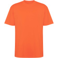 Bull, lyhythihainen, ylikokoinen unisex-t-paita, Corail