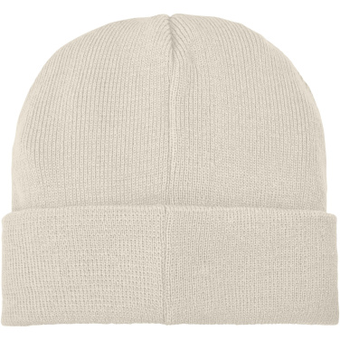 Logotrade reklaminiai produktai nuotrauka: Boreas beanie su pleistru