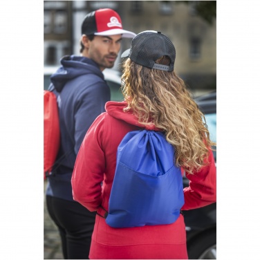 Logotrade biznesa dāvanas foto: Oriole 12 kārbu savelkams aukstuma maiss 5L
