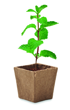 Лого трейд pекламные подарки фото: Mint seeds growing kit