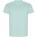 Golden kortärmad T-shirt för herr, Mynta