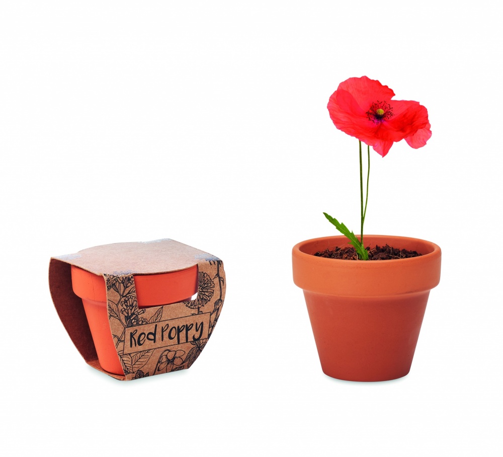 Logotrade presentreklam bild: Terracotta skål 'poppy'