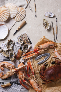 Logotrade reklamprodukter bild: VINGA Story of seafood